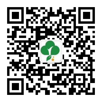 硅膠發泡密封條